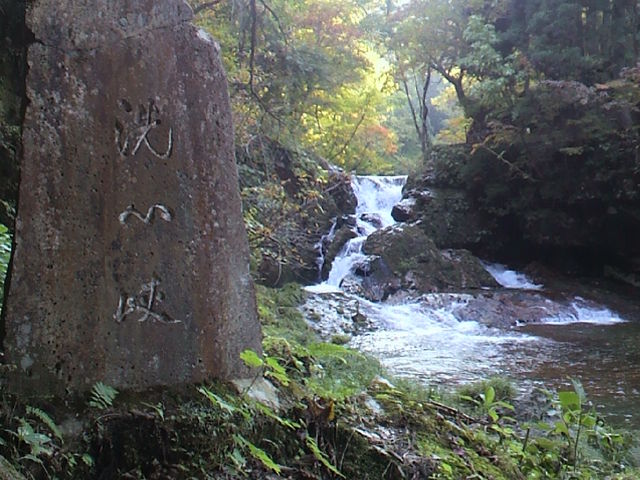 �U���_��R����