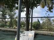 낤̂܂ς {ÓMщʎ̓eʐ^1