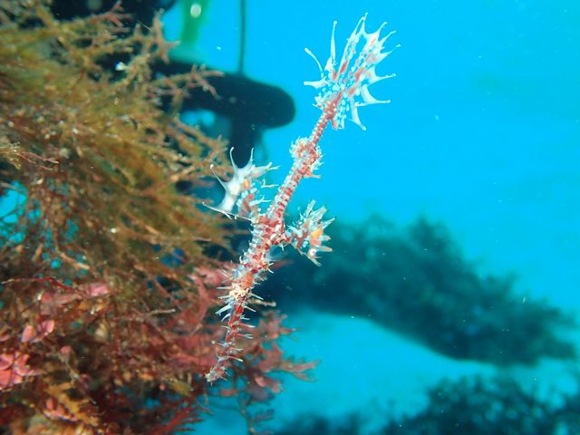 �j�V�L�t�E���C�E�I_���[�t�@���C�_�[�Y