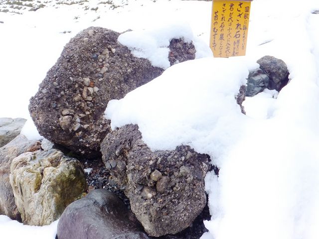 �召���܂��܂Ȑ΂⍻�����ÏW���Ă���l�q���A�ԋ߂Ɍ����܂��B_�������