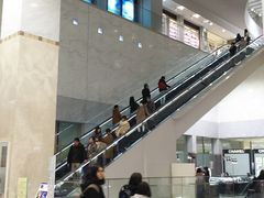 ^P`̃WFCA[sɐOւ̓eʐ^2