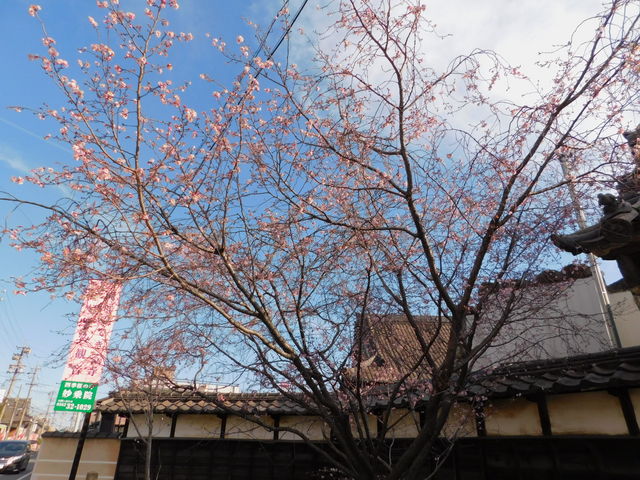 �l�G��
�����̈��ł��傤��
�����炫�ʂł�_����@