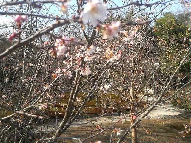 ���C���̕s�f��_���C��