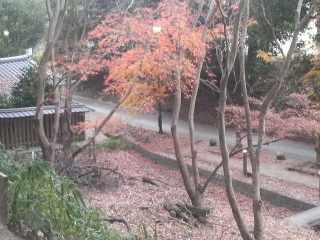 Ƃ񂳂̌F\upv̓eʐ^3