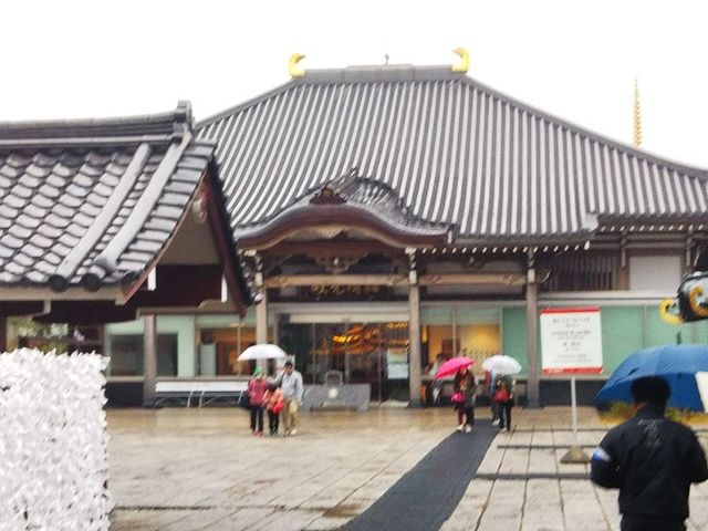 �{���O�����ɋP�����ς̖�t�@�����̌���_�ꔨ�R��t��