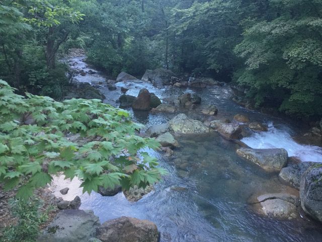 ���̐�B��_���T���i�������򋽁j