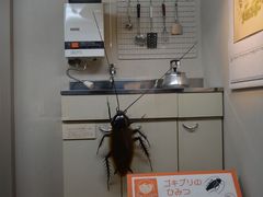 ろっきぃさんさんの大阪市立自然史博物館の投稿写真2