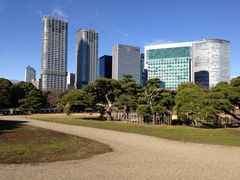 �l���{�����뉀�̎ʐ^1