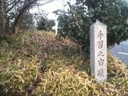 Ƃ񂳂̌F\uKv̓eʐ^1