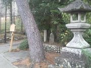 Ƃ񂳂̌F\unv̓eʐ^2