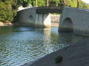 Ƃ̂ӂꂠRmЂ̓eʐ^1