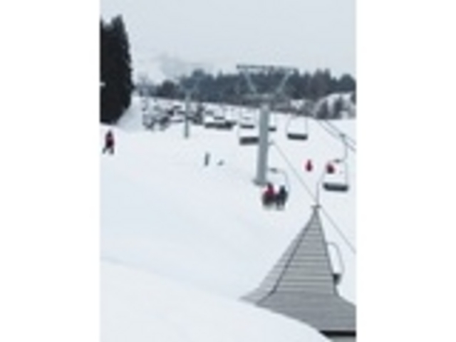 �X�L�[_�V���g�[����X�L�[��