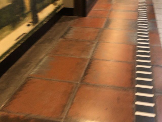 �n���ʘH_�������g���L�y�����L�y���w