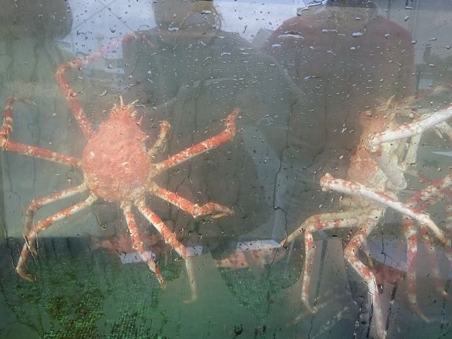 X̑O̐ɁA^JAVKjI_̈H