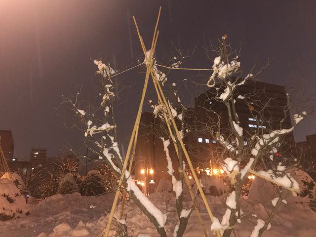 �^�~�̑�ʌ����̃��C���b�N_��ʌ����̃��C���b�N