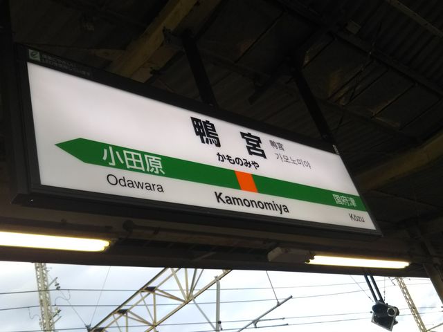 cJ擙X͂̏Zl̑l̉B DINNING BAR  Ƃ葠 c{̓eʐ^1