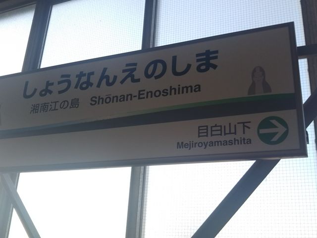 ���c�J�擙�X�͂̏Z�l����̏ē������̓��e�ʐ^1