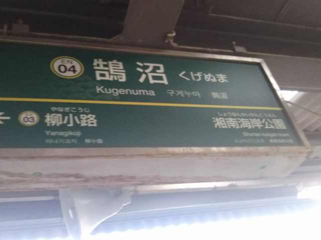 ���c�J�擙�X�͂̏Z�l����̎��i���R�ӂ��̓��e�ʐ^1