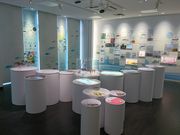 邭̐Ί`iΊsYnsj̓eʐ^1