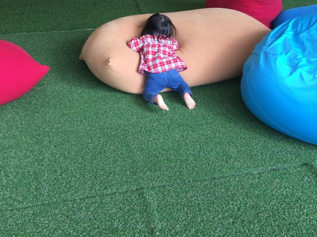 �傫�ȃN�b�V����������A�V�ׂ܂����B_KUZUHA MALL