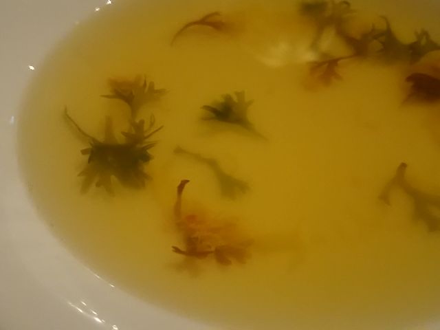 ςς΂ꂳ̃qR  SRt~Sق̓eʐ^2