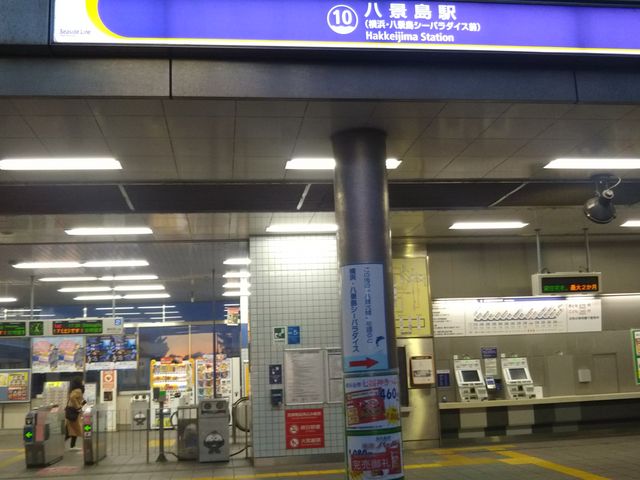 V[TChEXpi XgC̍Ŋw͔iwD炷B_V[TChEXpi  XgC()