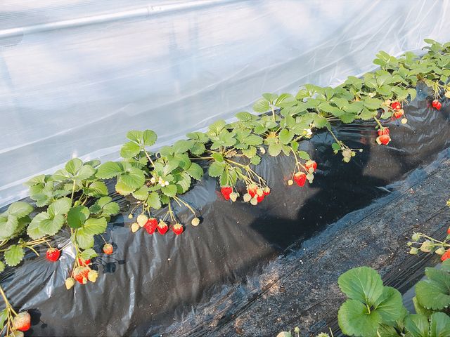 �y��������(^^)_�������t�@�~���[�_��