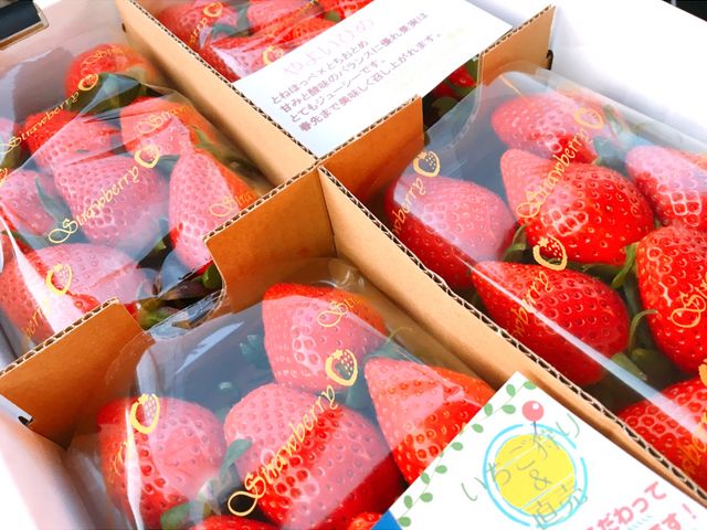 �^���ԂȂ�����_�������t�@�~���[�_��