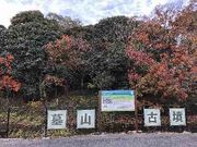 Ђ͂񂳂̕RÕ̓eʐ^1