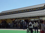 VÎ烏Ci[i疲j̓eʐ^3