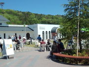 VÎ烏Ci[i疲j̓eʐ^5