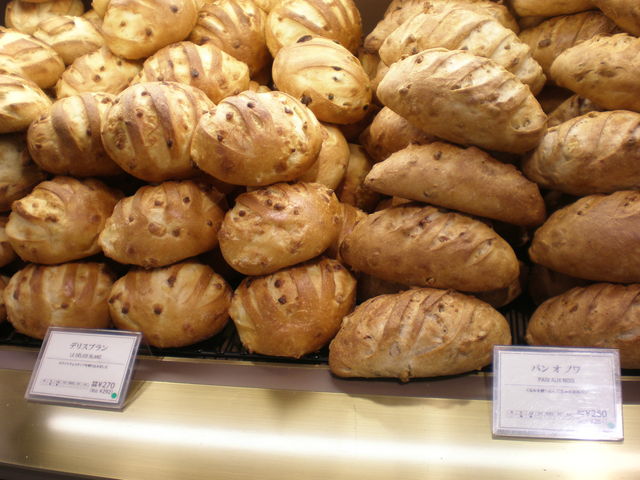 N~p_MAISON KAYSER rܓX