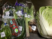 saaa̎YsĂ Ȃ{ق̓eʐ^1