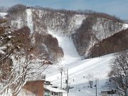 mpp̃Xm[p[Nˑq̓eʐ^1