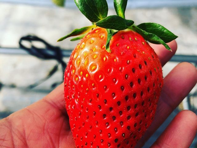 �т�����T�C�Y_�r�{�_��