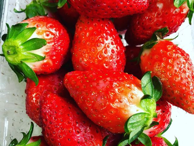 ����ŃW�����p_�r�{�_��