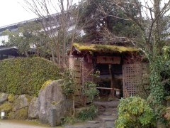 Ԃ񂳂̌VC@߉ϐ쐴ւ̓eʐ^1