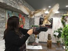 Ă邳̂ρ[@tNEJtFr܂ւ̓eʐ^1