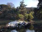 ߂̂̈瓿SriOlYrj̓eʐ^2