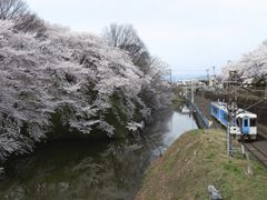 ZUNDAM����̉�������̍��ւ̓��e�ʐ^1