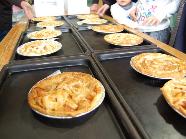 �������A�肵���A�b�v���p�C_�O�a�ό��_��