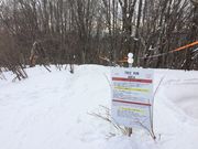 ܂񂳂HAKUBA VALLEY XL[iX|[cBbWj̓eʐ^1