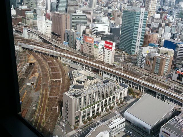 �V�󂩂疼�w����ʂ̒��]_���É��v�����X�z�e���@�X�J�C�^���[