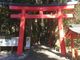 菊ちゃんさんの箱根神社の投稿写真1