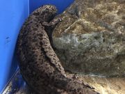 ނ炳񂳂̓̉wȂ΋Xe[V̓eʐ^1