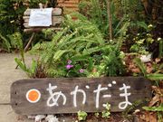 poporoñI[xW܂̓eʐ^1