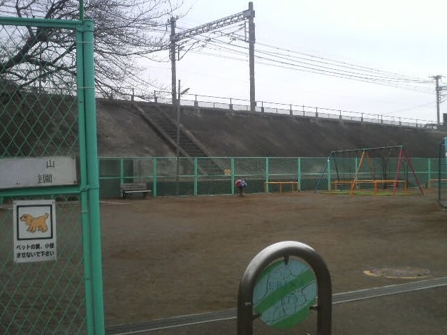 �����ɐ��R�����V��_�����ɐ��R�����V��