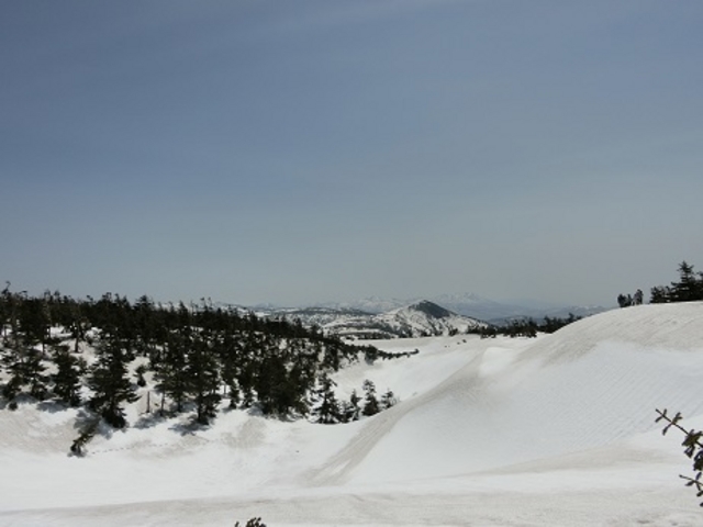 �������R���t��_������