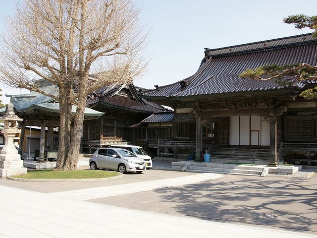 ������_������