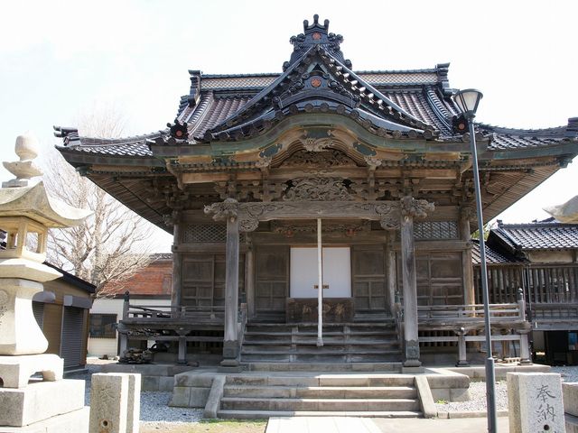 ��������_������